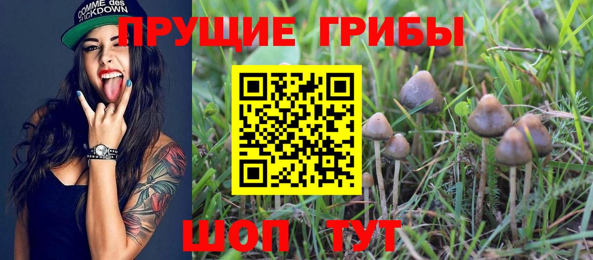 Галлюциногенные грибы MAGIC MUSHROOMS  Псилоцибиновые грибы ЛСД  Вход с VPN  Бахчисарай 
