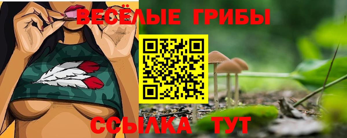 Галлюциногенные грибы GOLDEN TEACHER Бахчисарай